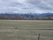 DSCF2299.JPG