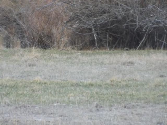 DSCF2300.JPG