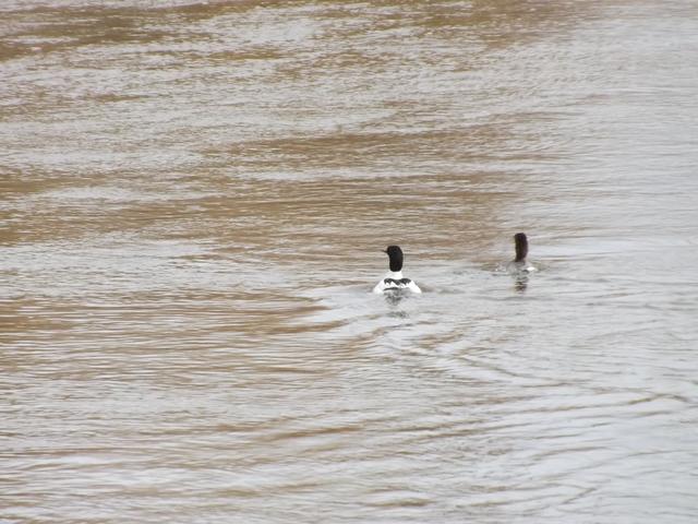 DSCF2301.JPG