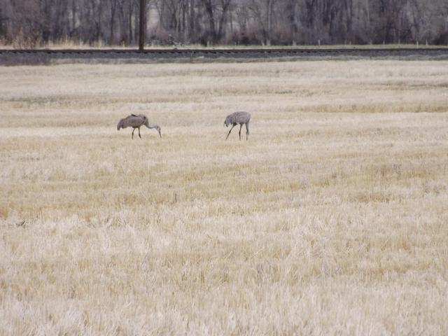 DSCF2308.JPG