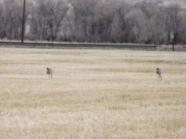 DSCF2310.JPG