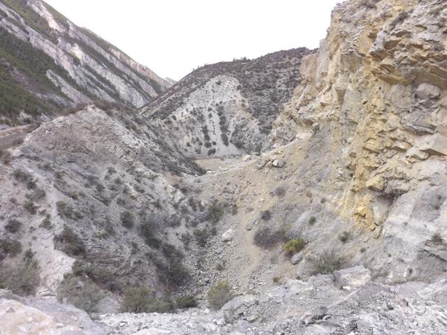 DSCF2316.JPG