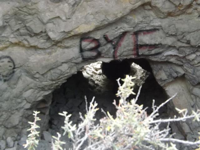 DSCF2322.JPG