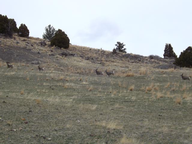 DSCF2341.JPG
