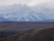 DSCF2297.jpg