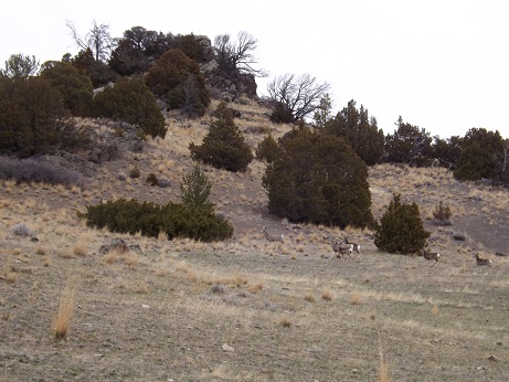 DSCF2342.jpg