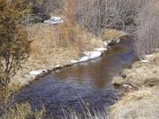 DSCF2366.JPG