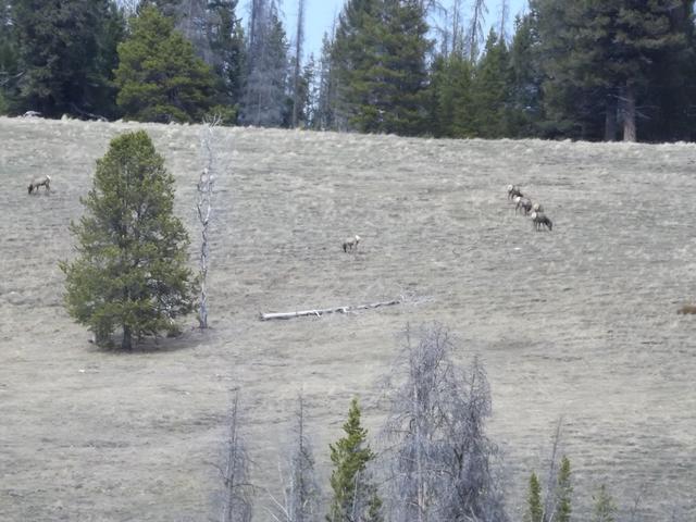 DSCF2442.JPG