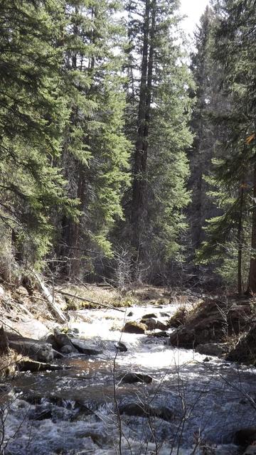 DSCF2546.JPG