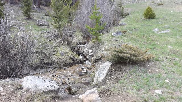 DSCF2560.JPG