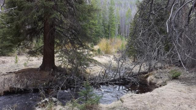 DSCF2564.JPG