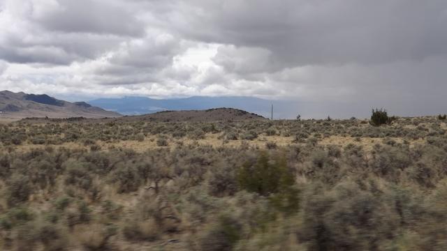 DSCF2686.JPG