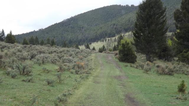 DSCF2701.JPG
