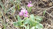 DSCF2753.JPG