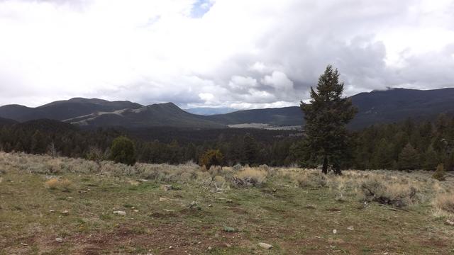DSCF2757.JPG