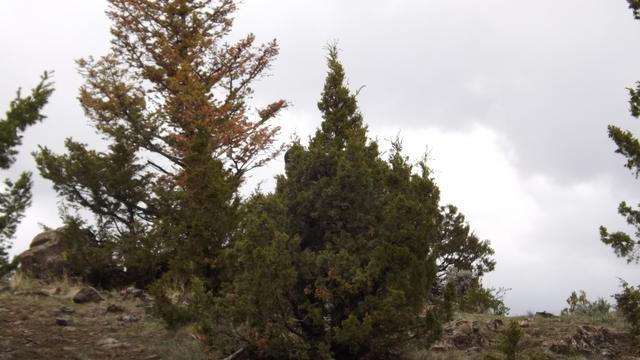 DSCF2844.JPG