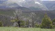 DSCF2890.JPG