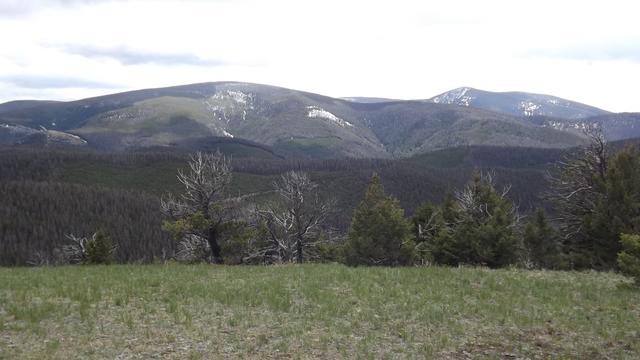 DSCF2891.JPG