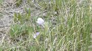 DSCF2879.JPG