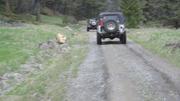 DSCF2894.JPG