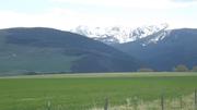 DSCF2939.JPG