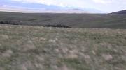 DSCF2943.JPG