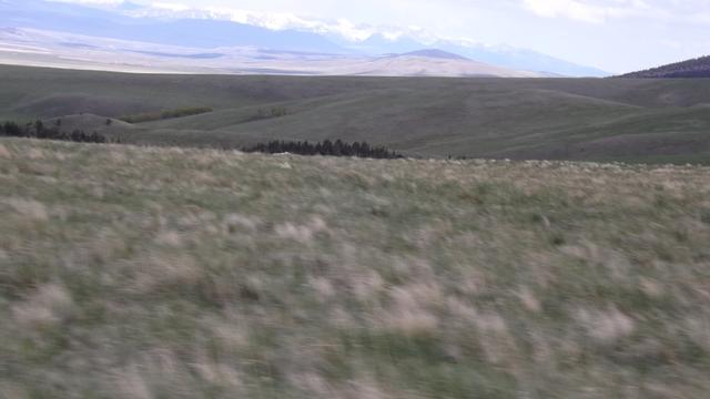 DSCF2943.JPG