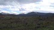 DSCF2950.JPG
