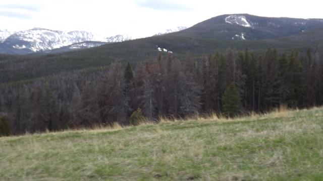 DSCF2974.JPG