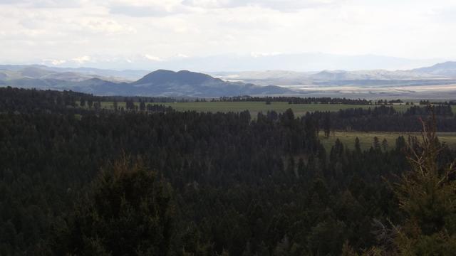 DSCF2987.JPG