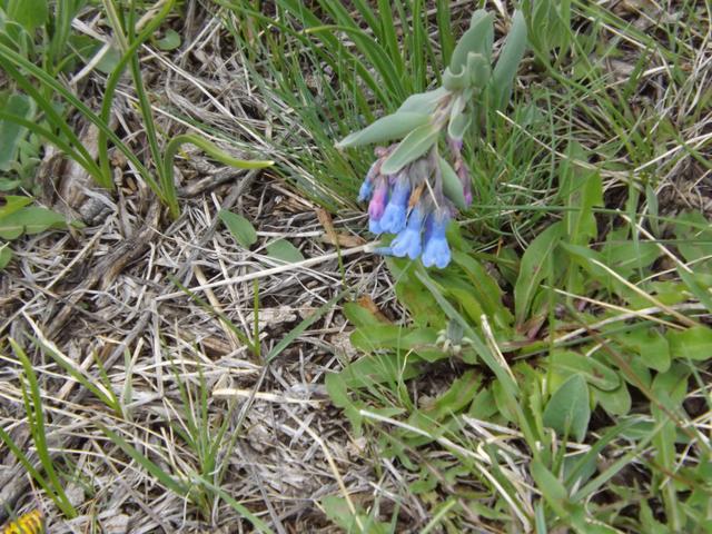 DSCF3027.JPG