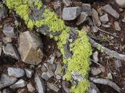 DSCF3049.JPG