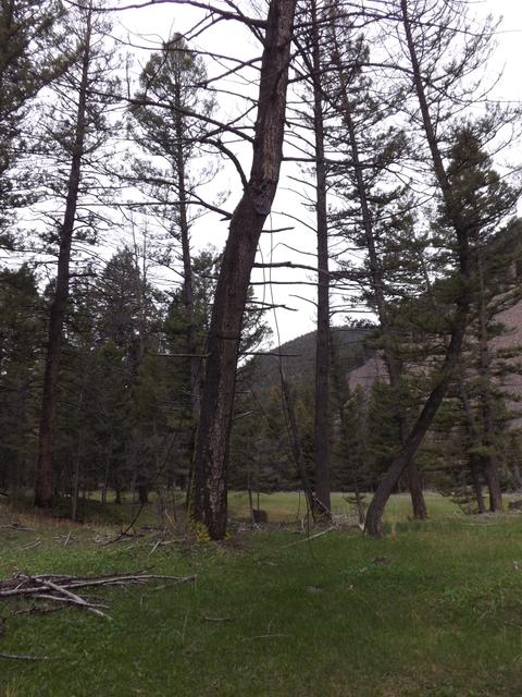 DSCF3053.JPG