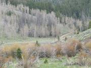 DSCF3063.JPG