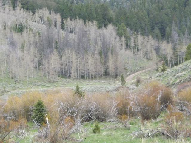 DSCF3063.JPG