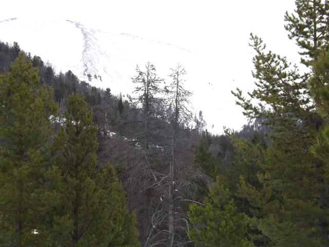 DSCF3068.JPG