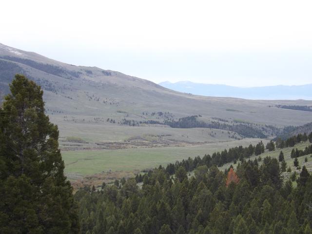 DSCF3071.JPG