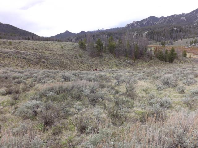 DSCF3104.JPG