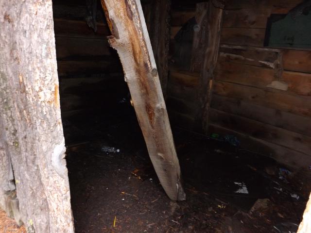 DSCF3120.JPG