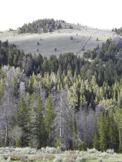 DSCF3127.JPG