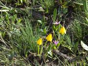 DSCF3129.JPG