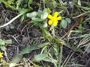 DSCF3130.JPG