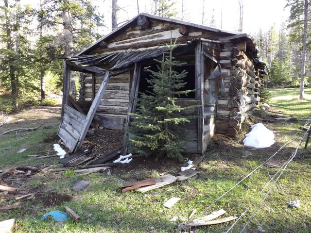DSCF3131.JPG