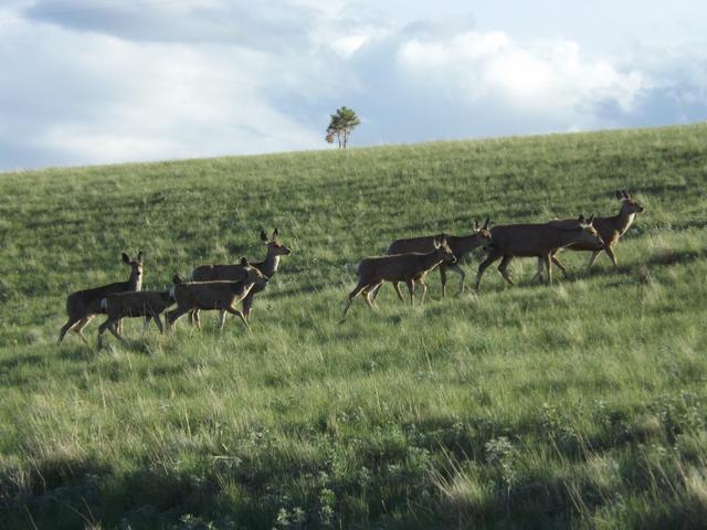 DSCF3166.JPG