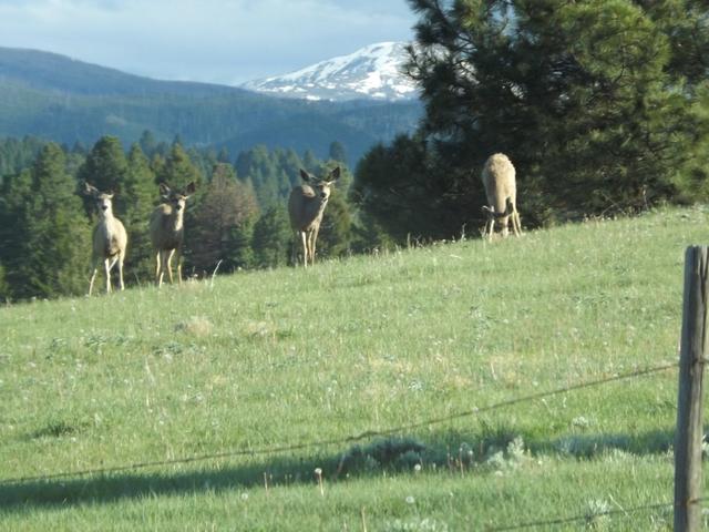DSCF3168.JPG