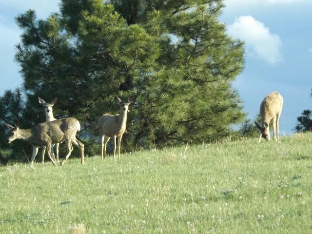 DSCF3169.JPG