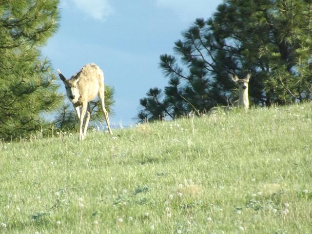 DSCF3170.JPG
