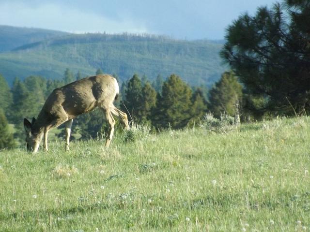 DSCF3171.JPG