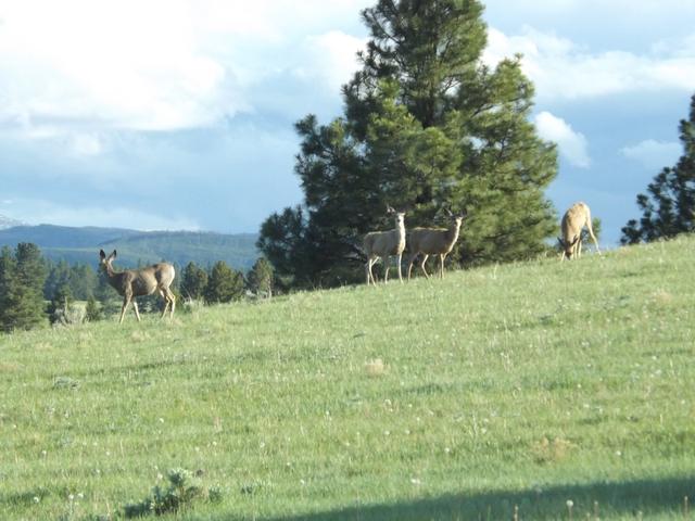 DSCF3173.JPG