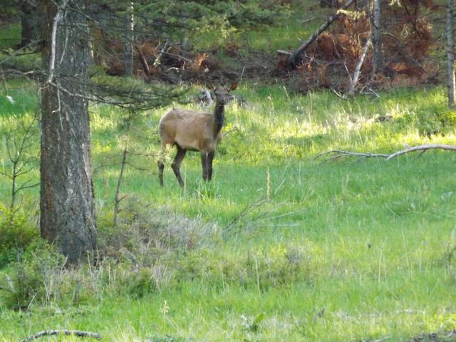 DSCF3175.JPG